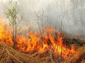 Խաչաղբյուր գյուղերի մոտ այրվել են 3 հա հնձած հացահատիկի դաշտեր